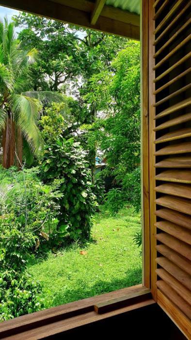 Old Bocasso Hostel Bocas del Toro Exterior photo